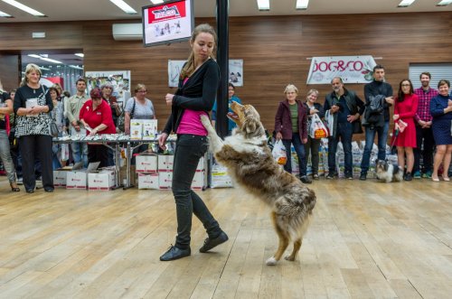 Den otevřených konzerv 2017 96