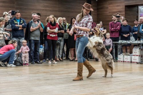 Den otevřených konzerv 2017 15